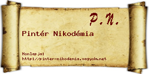 Pintér Nikodémia névjegykártya